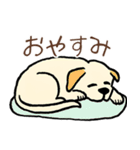 日常で使える！かわいい犬たち2（個別スタンプ：9）