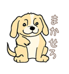 日常で使える！かわいい犬たち2（個別スタンプ：32）