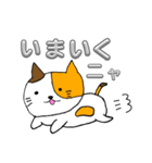 おさるのモン太とサメとネコ（個別スタンプ：20）