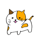 おさるのモン太とサメとネコ（個別スタンプ：21）