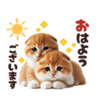 年中使える♡スコティッシュ（個別スタンプ：1）