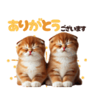 年中使える♡スコティッシュ（個別スタンプ：3）