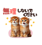 年中使える♡スコティッシュ（個別スタンプ：9）