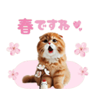 年中使える♡スコティッシュ（個別スタンプ：11）