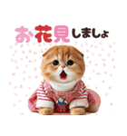 年中使える♡スコティッシュ（個別スタンプ：12）
