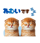 年中使える♡スコティッシュ（個別スタンプ：13）