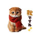 年中使える♡スコティッシュ（個別スタンプ：16）