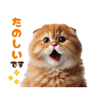 年中使える♡スコティッシュ（個別スタンプ：17）