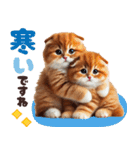 年中使える♡スコティッシュ（個別スタンプ：19）