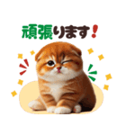 年中使える♡スコティッシュ（個別スタンプ：20）