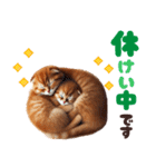 年中使える♡スコティッシュ（個別スタンプ：21）