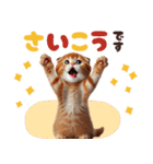 年中使える♡スコティッシュ（個別スタンプ：22）