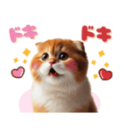 年中使える♡スコティッシュ（個別スタンプ：31）