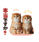 年中使える♡スコティッシュ（個別スタンプ：37）