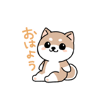 コロコロ豆柴さん（個別スタンプ：2）
