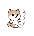 コロコロ豆柴さん（個別スタンプ：4）