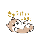 コロコロ豆柴さん（個別スタンプ：5）