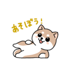 コロコロ豆柴さん（個別スタンプ：6）