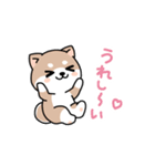 コロコロ豆柴さん（個別スタンプ：12）