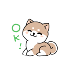 コロコロ豆柴さん（個別スタンプ：15）