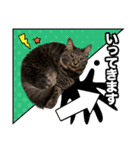 ろいとゆの 愛猫スタンプ①（個別スタンプ：3）