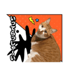 ろいとゆの 愛猫スタンプ①（個別スタンプ：4）
