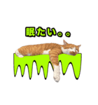 ろいとゆの 愛猫スタンプ①（個別スタンプ：16）
