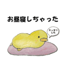 キュートぴよちゃんだよ（個別スタンプ：4）