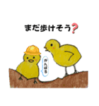 キュートぴよちゃんだよ（個別スタンプ：14）