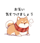 風邪ひいた柴犬(インフルやコロナ)＆気遣い（個別スタンプ：17）