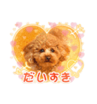 プードル集合2（個別スタンプ：6）