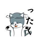 わらってるはいいろねこ（個別スタンプ：19）