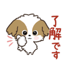 愛犬♡シーズーdeご挨拶【ハンコ入り】（個別スタンプ：2）