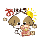 愛犬♡シーズーdeご挨拶【ハンコ入り】（個別スタンプ：5）