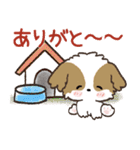 愛犬♡シーズーdeご挨拶【ハンコ入り】（個別スタンプ：10）