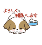 愛犬♡シーズーdeご挨拶【ハンコ入り】（個別スタンプ：24）