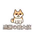 犬味 味がある犬（個別スタンプ：6）