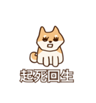 犬味 味がある犬（個別スタンプ：7）