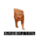 虎丸の発言（個別スタンプ：6）