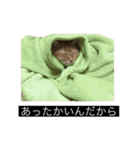 虎丸の発言（個別スタンプ：9）