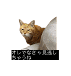 虎丸の発言（個別スタンプ：15）