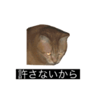虎丸の発言（個別スタンプ：28）