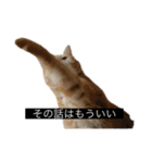 虎丸の発言（個別スタンプ：39）