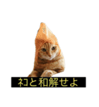 虎丸の発言（個別スタンプ：40）