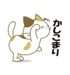 みけ猫みけさん10（個別スタンプ：3）