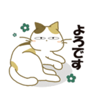 みけ猫みけさん10（個別スタンプ：11）