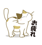 みけ猫みけさん10（個別スタンプ：15）