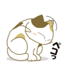 みけ猫みけさん10（個別スタンプ：23）