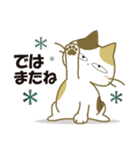 みけ猫みけさん10（個別スタンプ：32）