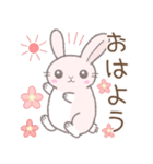 毎日使える※うさぎさん（個別スタンプ：1）